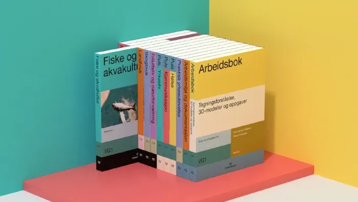 Серия академической литературы норвежского издательства Fagbokforlaget — визуальная система