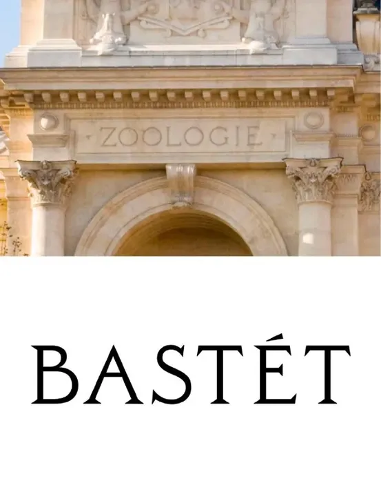 Премиальное оформление зубной пасты Bastét — визуальная система