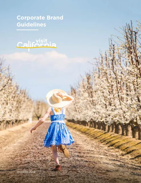 Visit California — гайд по фирменному стилю 2019 — страница 1