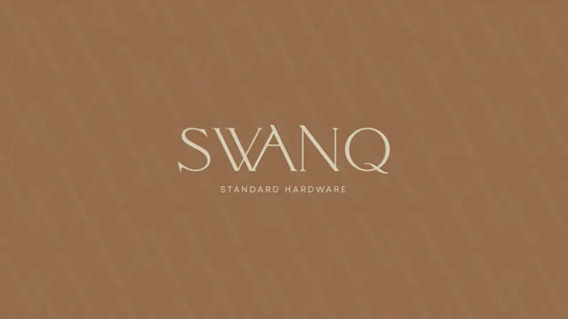 Swanq — гайд по фирменному стилю 2024 — страница 1
