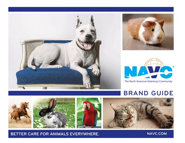 NAVC — гайд по фирменному стилю 2016 — страница 1