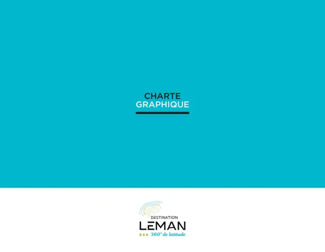 Destination Leman — гайд по фирменному стилю 2019 — страница 1
