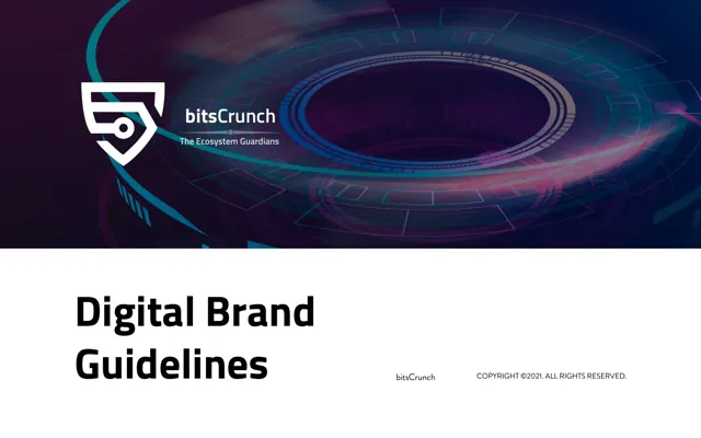 BitsCrunch — обложка 2021