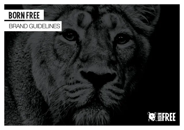 Born Free — гайд по фирменному стилю 2017 — страница 1