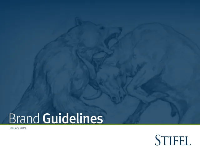 Stifel — обложка 2019