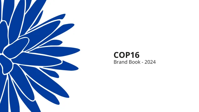 COP16 — обложка 2024
