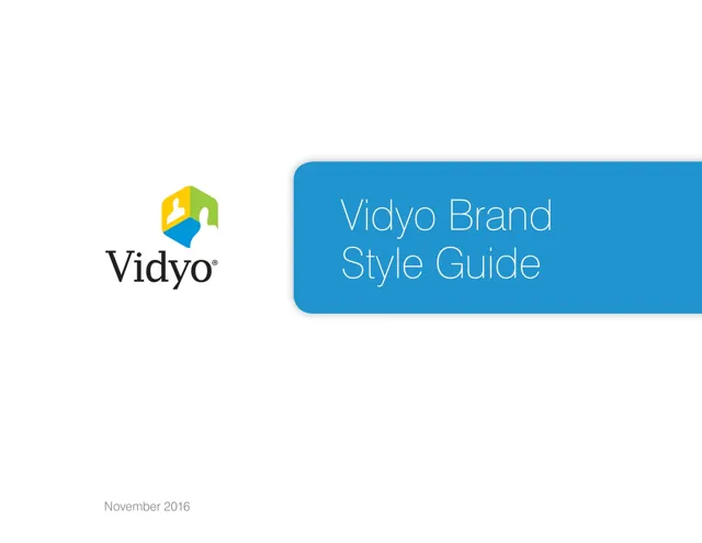 Vidyo — гайд по фирменному стилю 2016 — страница 1