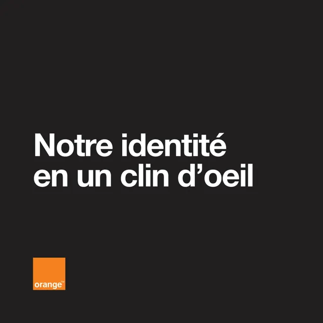 Orange — гайд по фирменному стилю 2016 — страница 1