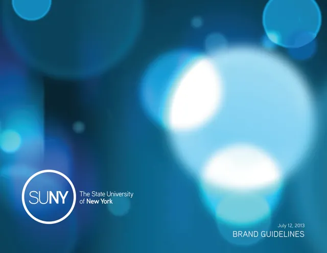 SUNY — обложка 2013