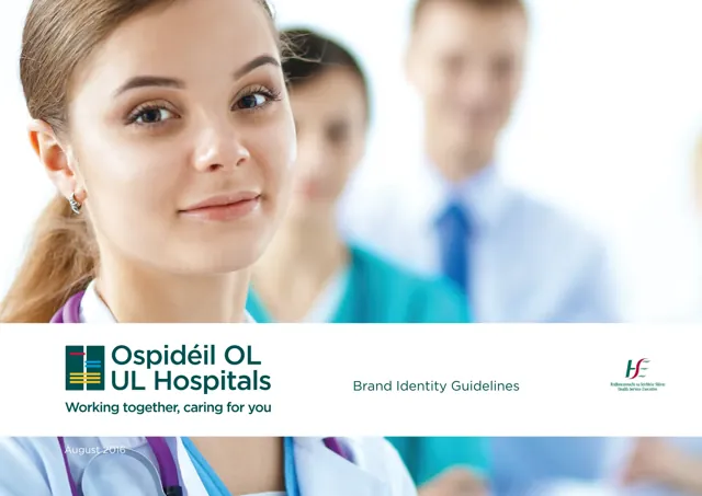 UL Hospitals Group — обложка 2016