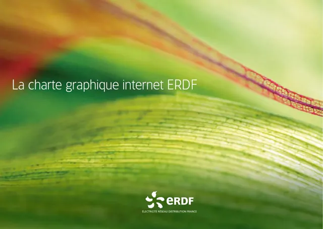 ERDF Web — гайд по фирменному стилю 2009 — страница 1