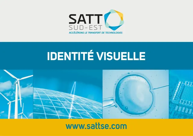SATT Sud-Est — обложка 2013