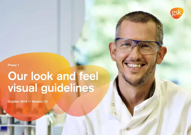 GSK — обложка 2013