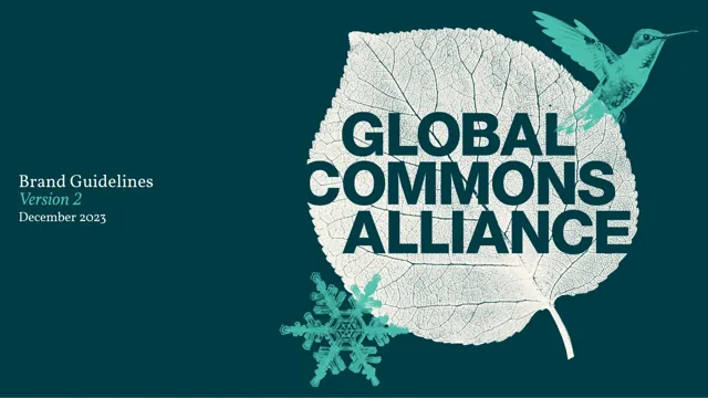 Global Commons Alliance — гайд по фирменному стилю 2023 — страница 1