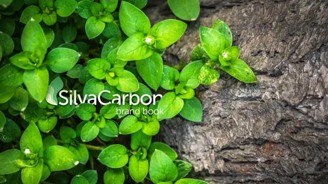 SilvaCarbon — обложка 2021