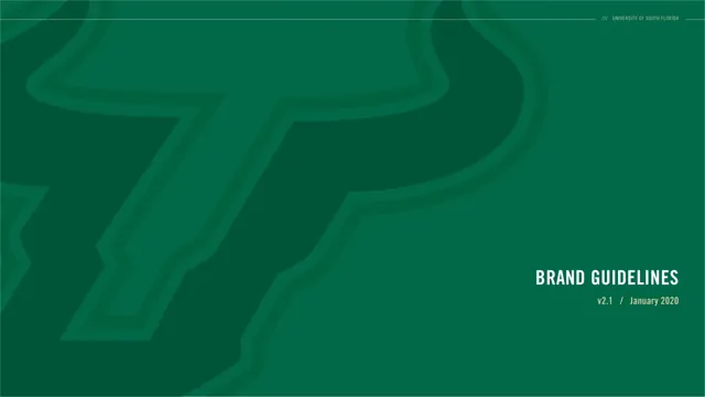 University of South Florida — гайд по фирменному стилю 2020 — страница 1