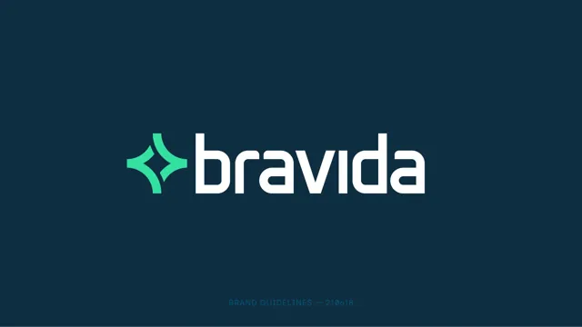 Bravida — обложка 2018