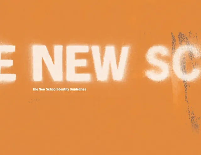 The New School — обложка 2005