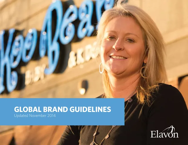 Elavon — обложка 2014