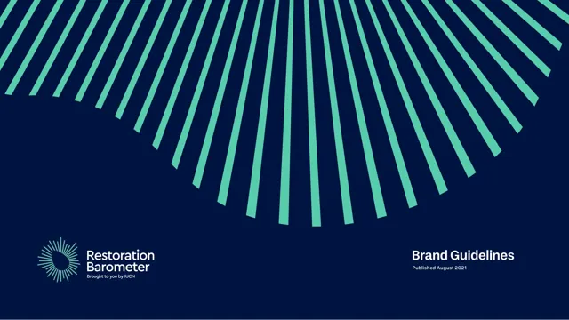 Restoration Barometer — гайд по фирменному стилю 2021 — страница 1
