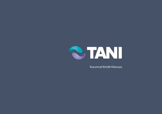 Tani — обложка 2013