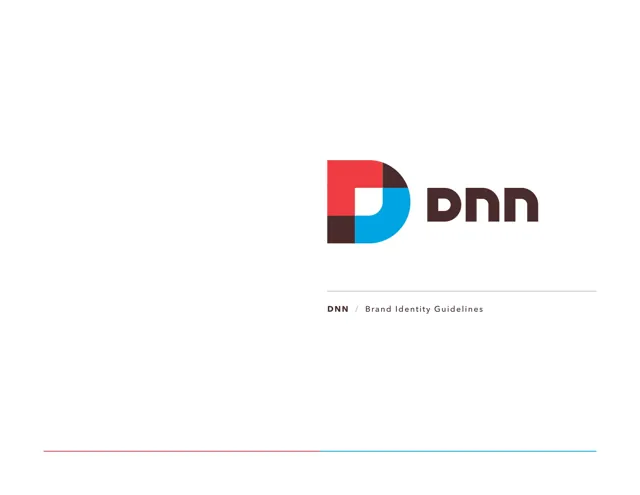 DNN Corporation — обложка 2013