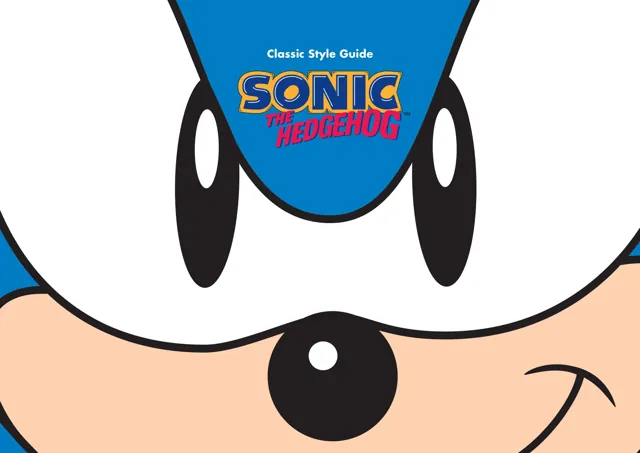 Sonic The Hedgehog — обложка 2013