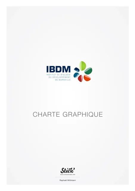 IBDM — обложка 2013