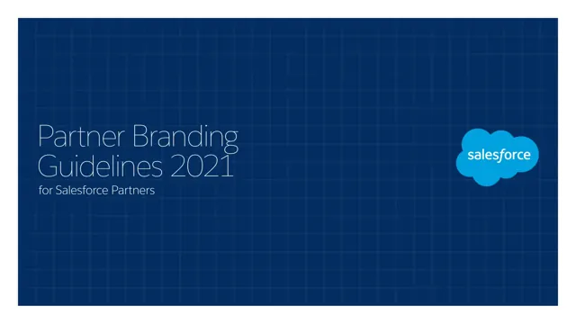 SalesForce Partner — гайд по фирменному стилю 2021 — страница 1