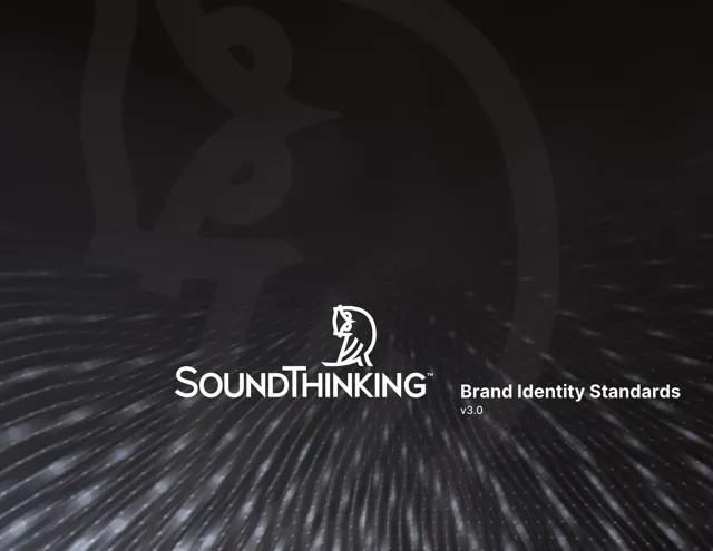 SoundThinking — обложка 2024