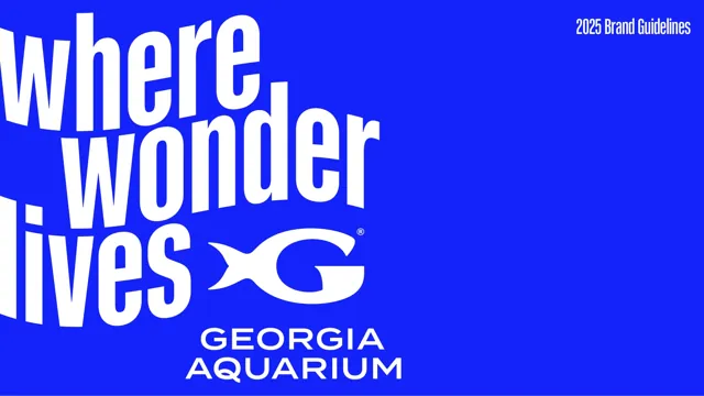 Georgia Aquarium — обложка 2025