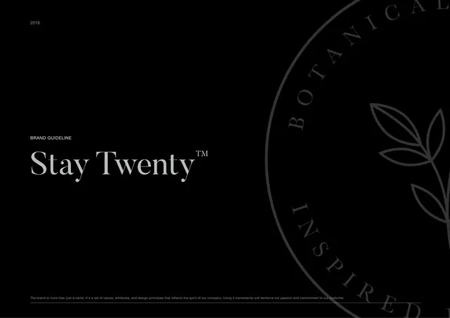 Stay Twenty — обложка 2018