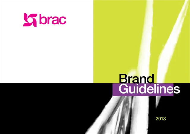 Brac — обложка 2013
