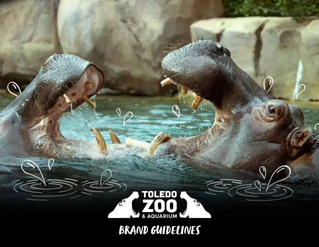 Toledo Zoo & Aquarium — гайд по фирменному стилю 2018 — страница 1
