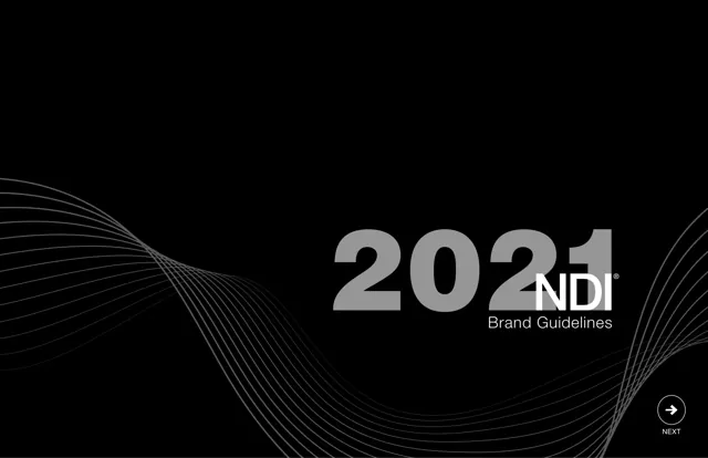 NDI — обложка 2021