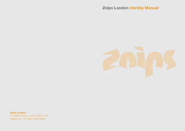 Znips — обложка 2009